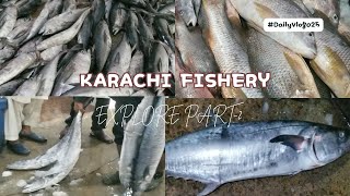 KARACHI FISHERY UPDATE  FISH MARKET  PAKISTAN BIGGEST MARKET [upl. by Nibur801]