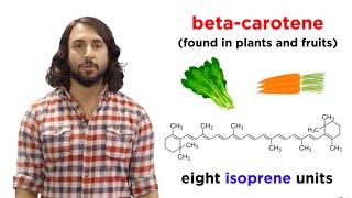 Lipids Part 1 TAGs Fatty Acids and Terpenes [upl. by Ecienaj]