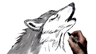 How to Draw A Howling Wolf  Step by Step [upl. by Lange]