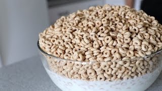 Massive Cheerios Challenge 4000 Calories [upl. by Eibbor]