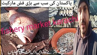 Explore Fishery market karachi  fish market karachi [upl. by Areval519]