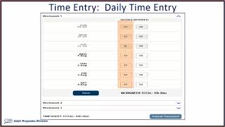 Time Entry for Providers [upl. by Ezeerb]