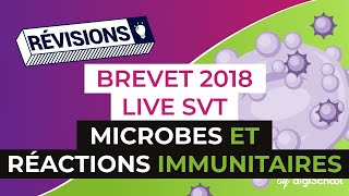 Brevet 2018  Révisions de SVT  Microbes et réactions immunitaires [upl. by Kopple31]