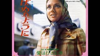 ジリオラ・チンクェッティGigliola Cinquetti／つばめのように Volano le rondini （1970年） [upl. by Falda]