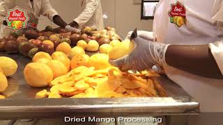 Processing Dried Mango [upl. by Malory]