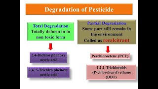 Principle of Biodegradation of PesticideXenobiotics [upl. by Chuah]