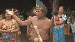 New life of the fearsome jivaro tribe in the Peruvian Amazon [upl. by Llehcar]