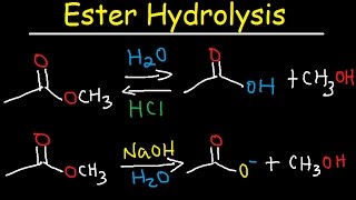 Ester Hydrolysis Reaction Mechanism  Acid Catalyzed amp Base Promoted Organic Chemistry [upl. by Ynttirb124]