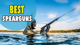 Best Spearguns – Field Tested amp Top 10 Reviewed [upl. by Akerdnahs]