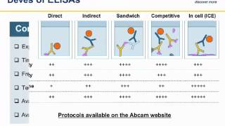 ELISA principles and troubleshooting [upl. by Dloniger]