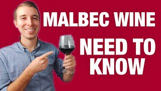 MALBEC RED WINE For Beginners [upl. by Yelahs251]