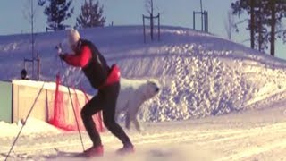 The Most Funniest Ski Fails Compilation [upl. by Otreblanauj]