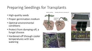 Seed Propagation [upl. by Rosena]