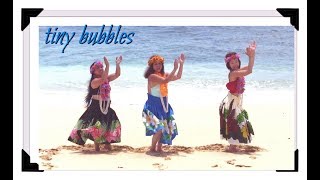 Tiny Bubbles Hawaiian Dance [upl. by Cris69]