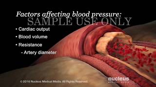 Understanding Basic Blood Pressure Control  Nucleus Health [upl. by Idnas832]