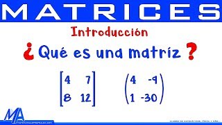 Matrices Introducción  Conceptos básicos [upl. by Ecidnak600]