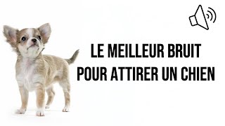 Le meilleur bruit pour attirer un chien [upl. by Otilrac]