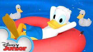 Old McDonald and His Ducks 🦆 Mickey Mornings  Mickey Mouse Clubhouse  disneyjr [upl. by Omik]