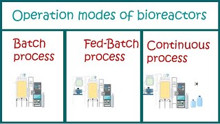 Types of Bioprocesses  Batch  Fed Batch and Continuous processes [upl. by Walworth204]