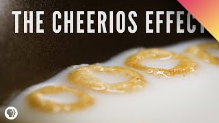 The Cheerios Effect [upl. by Elocon160]