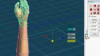 Metasequoia Rundown  Basic [upl. by Nommad940]