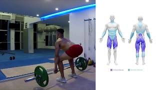 Deadlift  How To Do A Deadlift Benefits amp Muscles Worked [upl. by Grounds649]