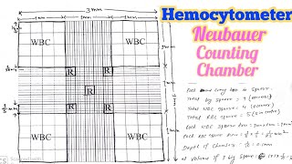 Hemocytometer  Neubaur Chamber  How to Count RBC WBC and Pletletes [upl. by Coughlin]