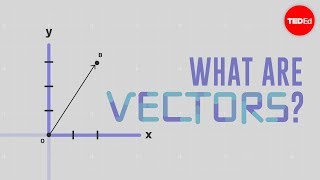 What is a vector  David Huynh [upl. by Ehcsrop949]