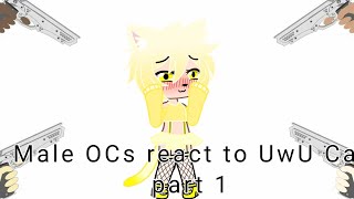 My male OCs meet the UwU Cat • Gachaclub • part 1 • read description [upl. by Bonnell]