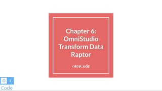 OmniStudio Transform Data Raptor 6  0to1Code [upl. by Silyhp]