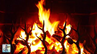 Soothing Fire Sounds 🔥 Relaxing Fireplace for Sleep amp Study 🔥 NO MUSIC [upl. by Corene]