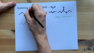 Butanoic Acid  Ethanol  Ester Reaction with Mechanism [upl. by Birkle]