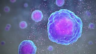 Types of Immune Cells Part 1 Immune Cell Function [upl. by Michaeu]