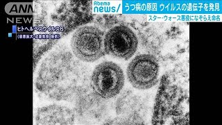 “うつ病の原因”となるウイルスの遺伝子を発見2020年6月19日 [upl. by Lyndsay]