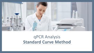 qPCR Analysis  Standard Curve Method [upl. by Gefell108]