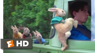 Peter Rabbit  Wet Willy Rescue Scene  Fandango Family [upl. by Bunker]