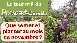 Que semer et planter au mois de novembre au potager [upl. by Znarf]