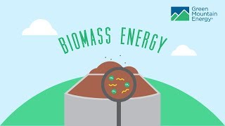 Renewable Energy 101 How Does Biomass Energy Work [upl. by Ynnavoeg324]