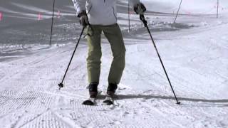 Harald Harb quotHow to Skiquot Series 1 Lesson 1 Beginning Parallel Skiing [upl. by Gnihc]