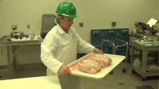 HACCP Food Safety Overview [upl. by Assirak]