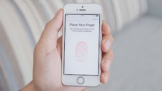 How Does Fingerprint Scanning Work [upl. by Anastassia546]