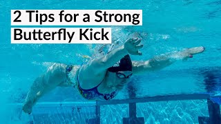 Strong Butterfly Kick  2 Tips [upl. by Sande]