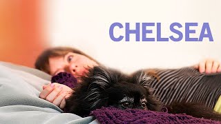 Chelsea  POLSKI LEKTOR  Darmowy Film Fabularny  Cały Film  Polish Voiceover  Dramat [upl. by Brandt]