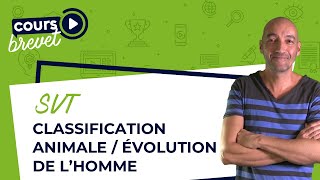 BREVET de SVT  Classification animale  Évolution de lHomme [upl. by Aniarrol55]