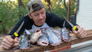 How to Clean and Cook Delicious Catfish [upl. by Lleinnad]