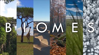 Biomes  The Living Landscapes of Earth Introduction To Biomes Of The World Geodiode [upl. by Nnalyrehs]