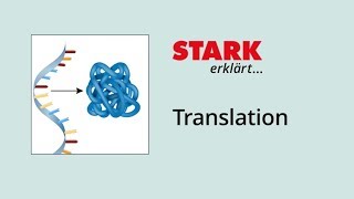 Translation Proteinbiosynthese  STARK erklärt [upl. by Levey]