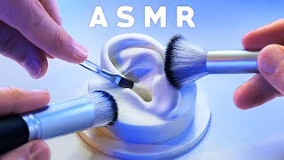 ASMR XXL Brushing amp Brushes ONLY Compilation NO TALKING Tingle Study Sleep Relax [upl. by Ratha]