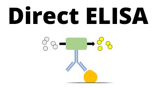 Direct ELISA in 1 minute [upl. by Ema]