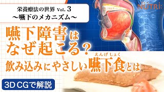 栄養療法の世界Vol3 嚥下のメカニズム〈3D CG解説〉－嚥下障害はなぜ起こる？飲み込みにやさしい嚥下食とは－ [upl. by Llerraj]